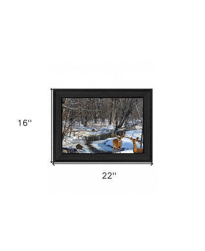 Great Outdoors Nature 1 Black Framed Print Wall Art HomeRoots