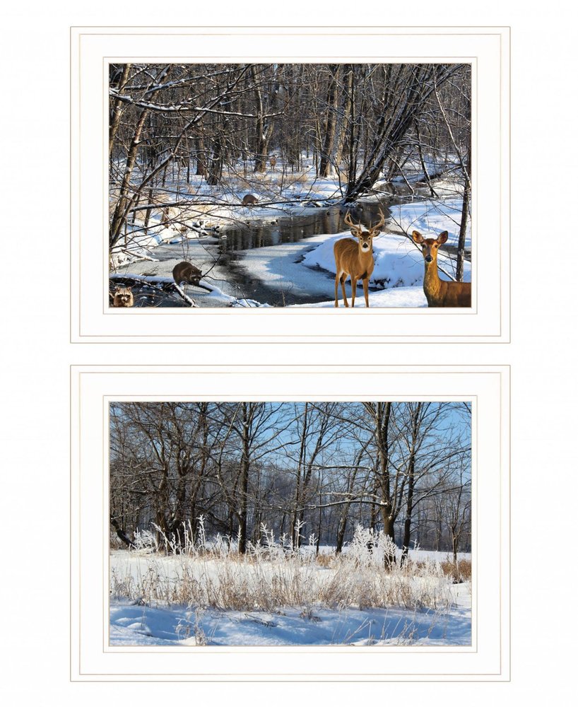Set Of Two Great Outdoors Nature or Winter Forest 2 White Framed Print Wall Art HomeRoots
