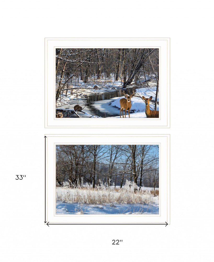 Set Of Two Great Outdoors Nature or Winter Forest 2 White Framed Print Wall Art — view 3