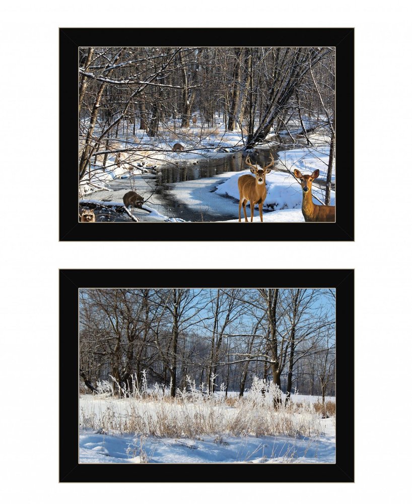Set Of Two Great Outdoors Nature or Winter Forest 1 Black Framed Print Wall Art — view 1
