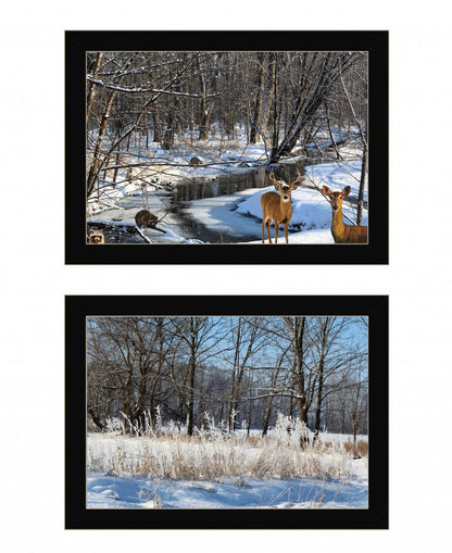 Set Of Two Great Outdoors Nature or Winter Forest 1 Black Framed Print Wall Art HomeRoots
