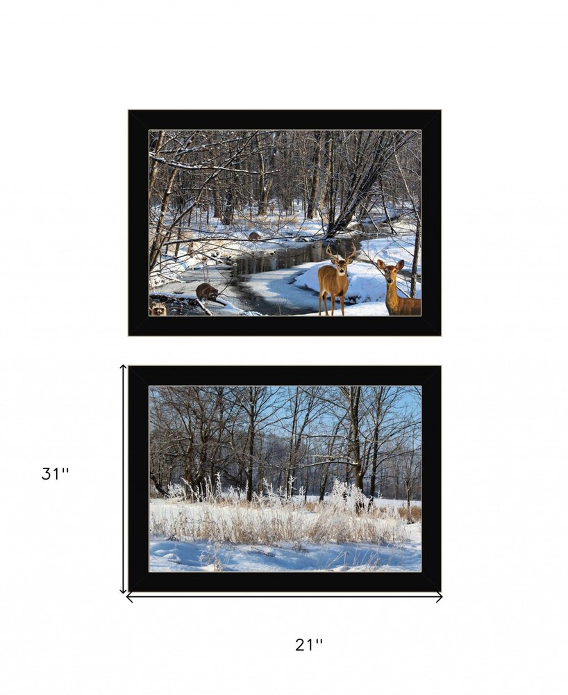 Set Of Two Great Outdoors Nature or Winter Forest 1 Black Framed Print Wall Art HomeRoots