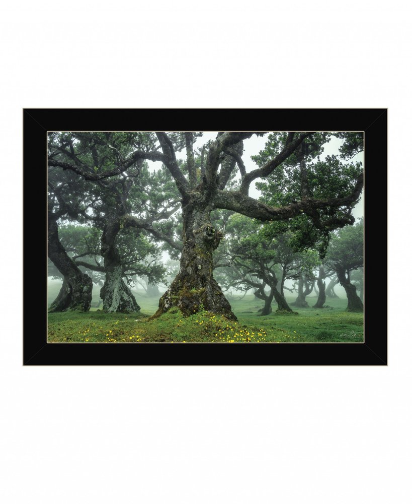 Enchanted Forest I 1 Black Framed Print Wall Art HomeRoots