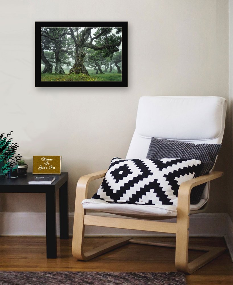 Enchanted Forest I 1 Black Framed Print Wall Art HomeRoots