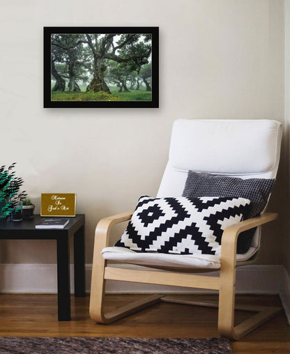 Enchanted Forest I 1 Black Framed Print Wall Art HomeRoots
