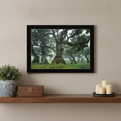 Enchanted Forest I 1 Black Framed Print Wall Art HomeRoots