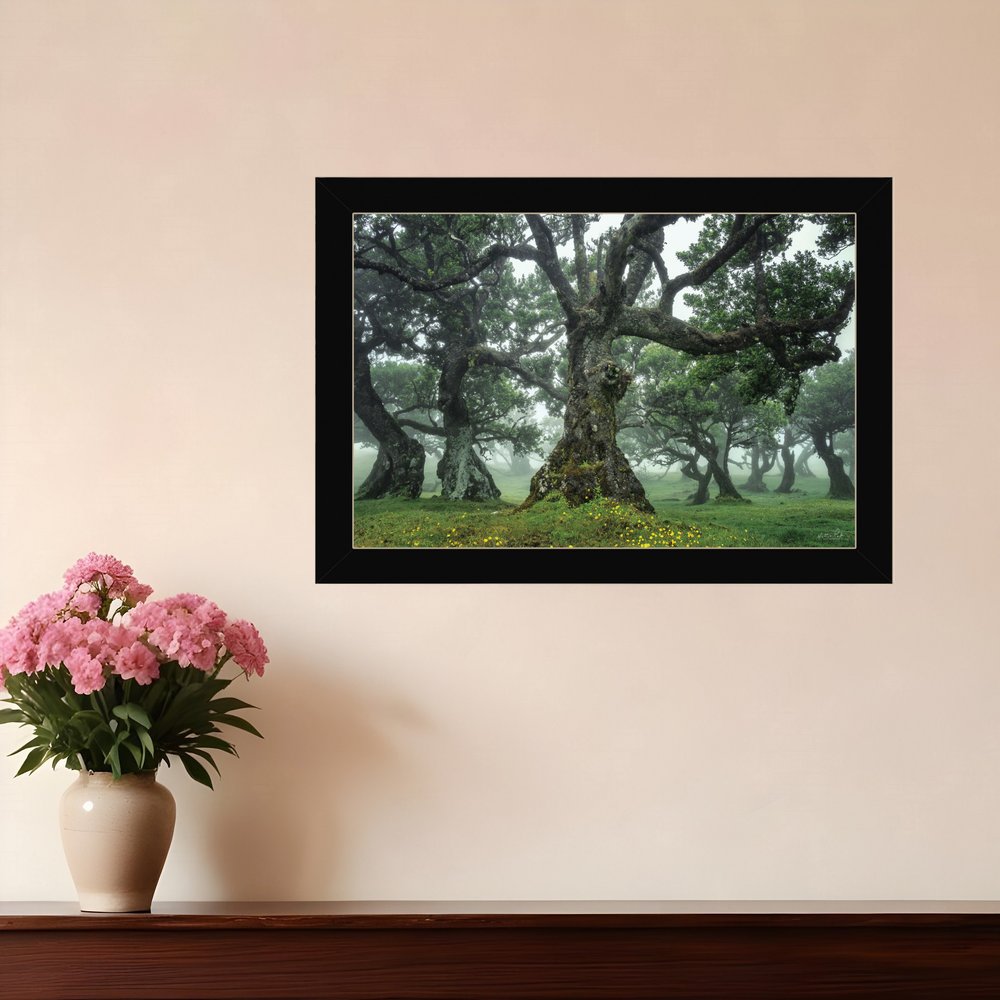 Enchanted Forest I 1 Black Framed Print Wall Art HomeRoots