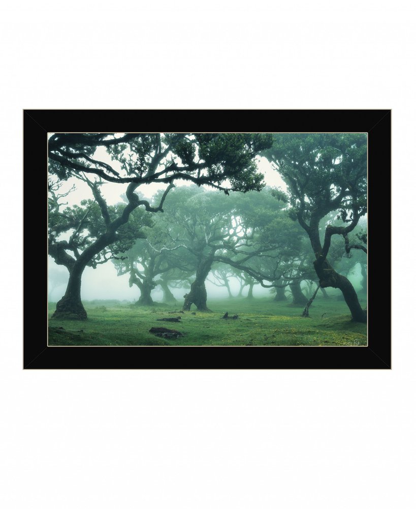 Enchanted Forest II 1 Black Framed Print Wall Art — view 2