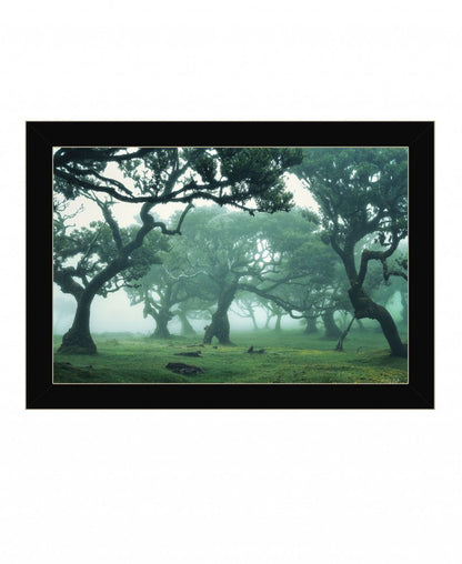 Enchanted Forest II 1 Black Framed Print Wall Art HomeRoots