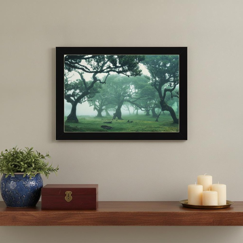 Enchanted Forest II 1 Black Framed Print Wall Art HomeRoots