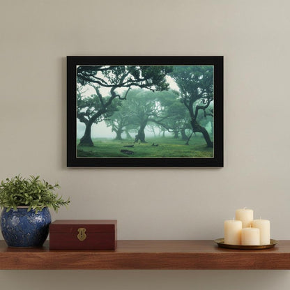 Enchanted Forest II 1 Black Framed Print Wall Art HomeRoots