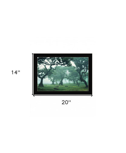 Enchanted Forest II 1 Black Framed Print Wall Art HomeRoots