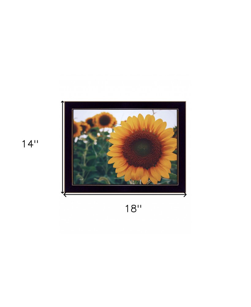 Midwest Livin II 1 Black Framed Print Wall Art HomeRoots