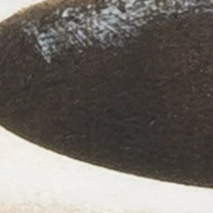 2" Wide Pillar Centerpiece Votive Candle Holder HomeRoots