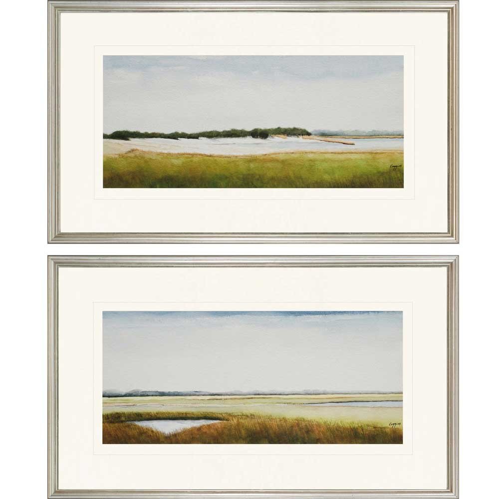 Set Of Two Marshlands II Framed Silver Framed Print Wall Art HomeRoots