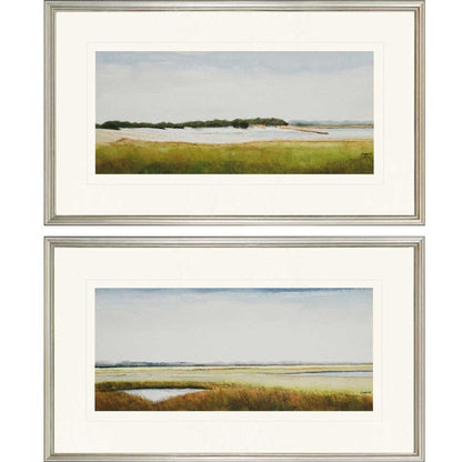 Set Of Two Marshlands II Framed Silver Framed Print Wall Art HomeRoots