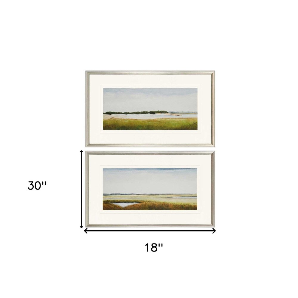 Set Of Two Marshlands II Framed Silver Framed Print Wall Art HomeRoots