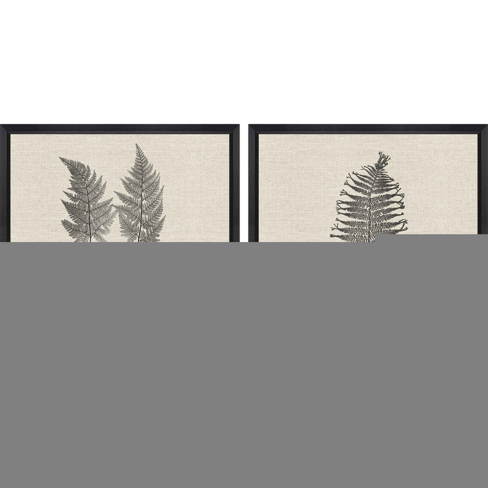 Set Of Two Modern Ferns I Brown Framed Print Wall Art HomeRoots