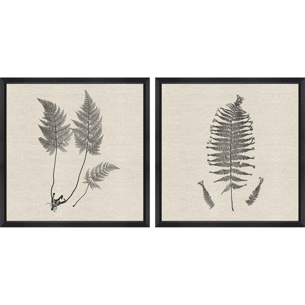 Set Of Two Modern Ferns I Brown Framed Print Wall Art HomeRoots
