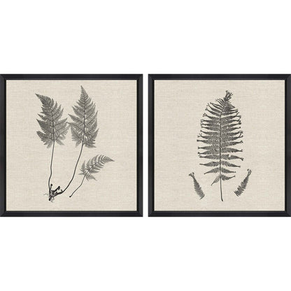 Set Of Two Modern Ferns I Brown Framed Print Wall Art HomeRoots