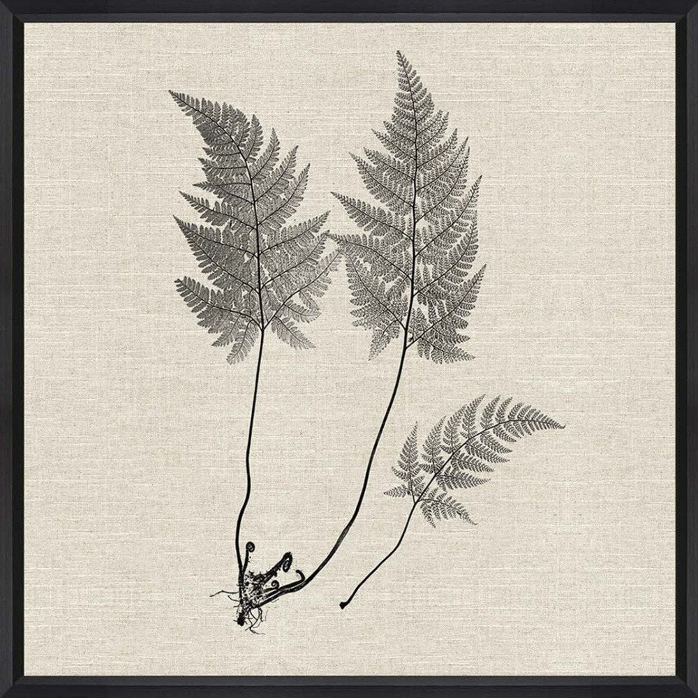Set Of Two Modern Ferns I Brown Framed Print Wall Art HomeRoots
