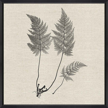 Set Of Two Modern Ferns I Brown Framed Print Wall Art HomeRoots