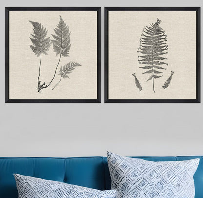 Set Of Two Modern Ferns I Brown Framed Print Wall Art HomeRoots