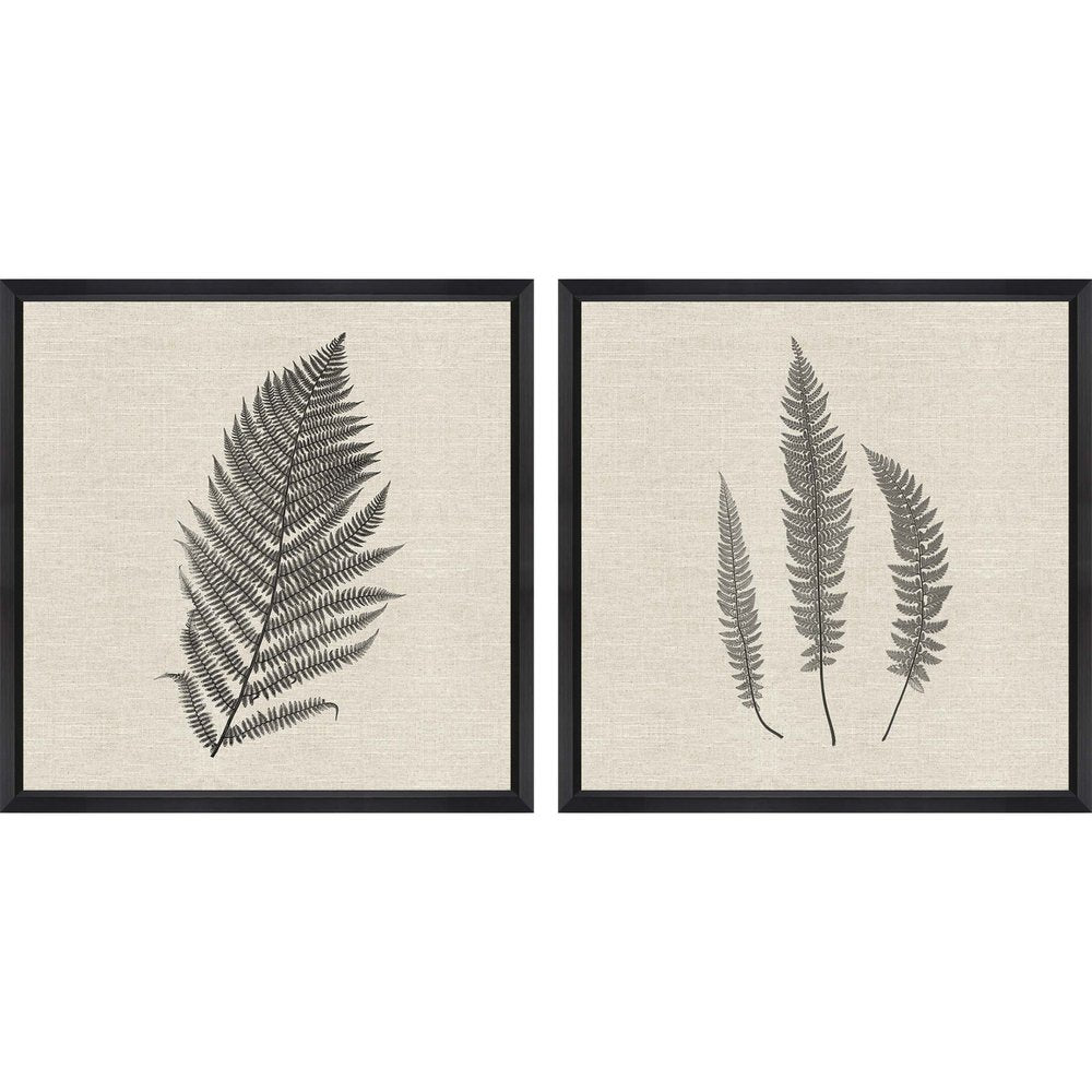 Set Of Two Modern Ferns II Brown Framed Print Wall Art HomeRoots