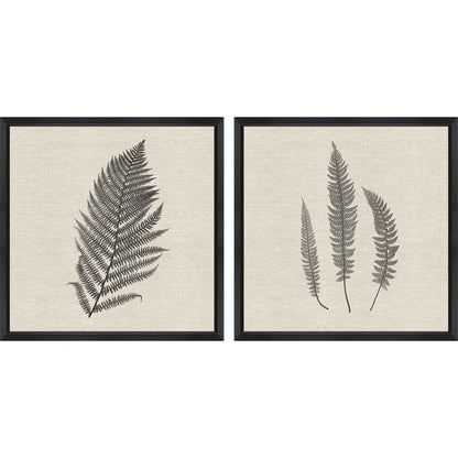 Set Of Two Modern Ferns II Brown Framed Print Wall Art HomeRoots