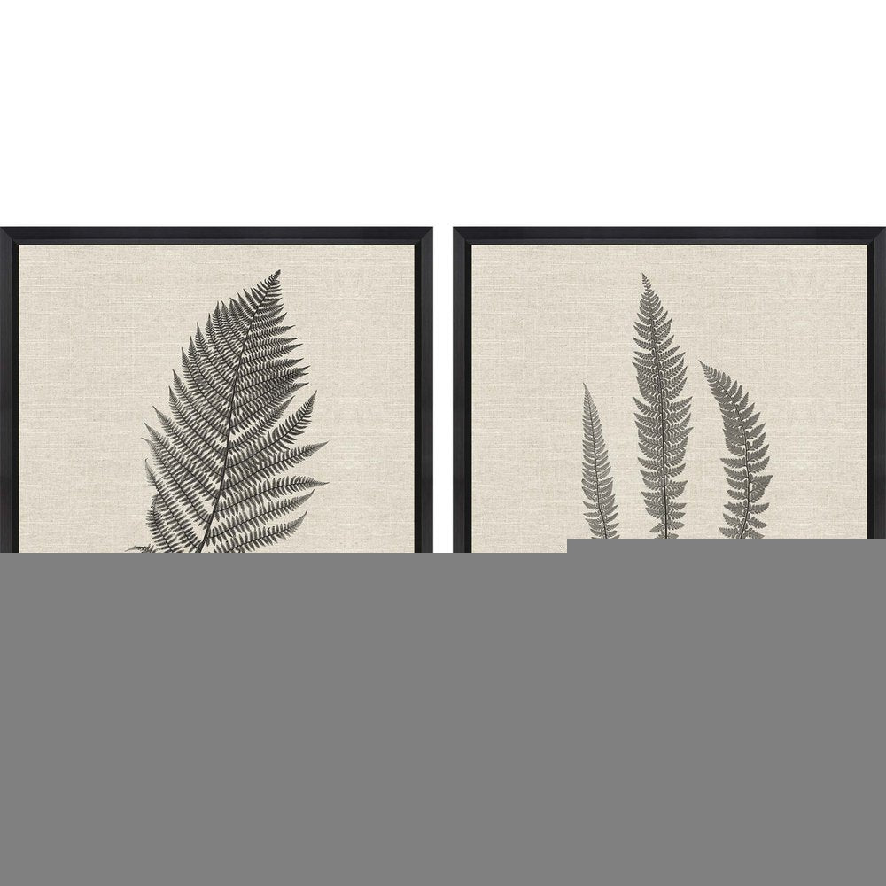 Set Of Two Modern Ferns II Brown Framed Print Wall Art HomeRoots