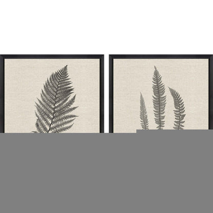 Set Of Two Modern Ferns II Brown Framed Print Wall Art HomeRoots