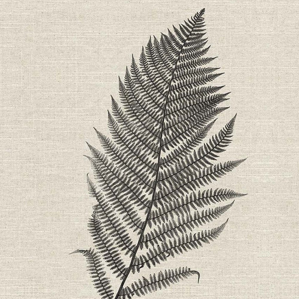 Set Of Two Modern Ferns II Brown Framed Print Wall Art HomeRoots