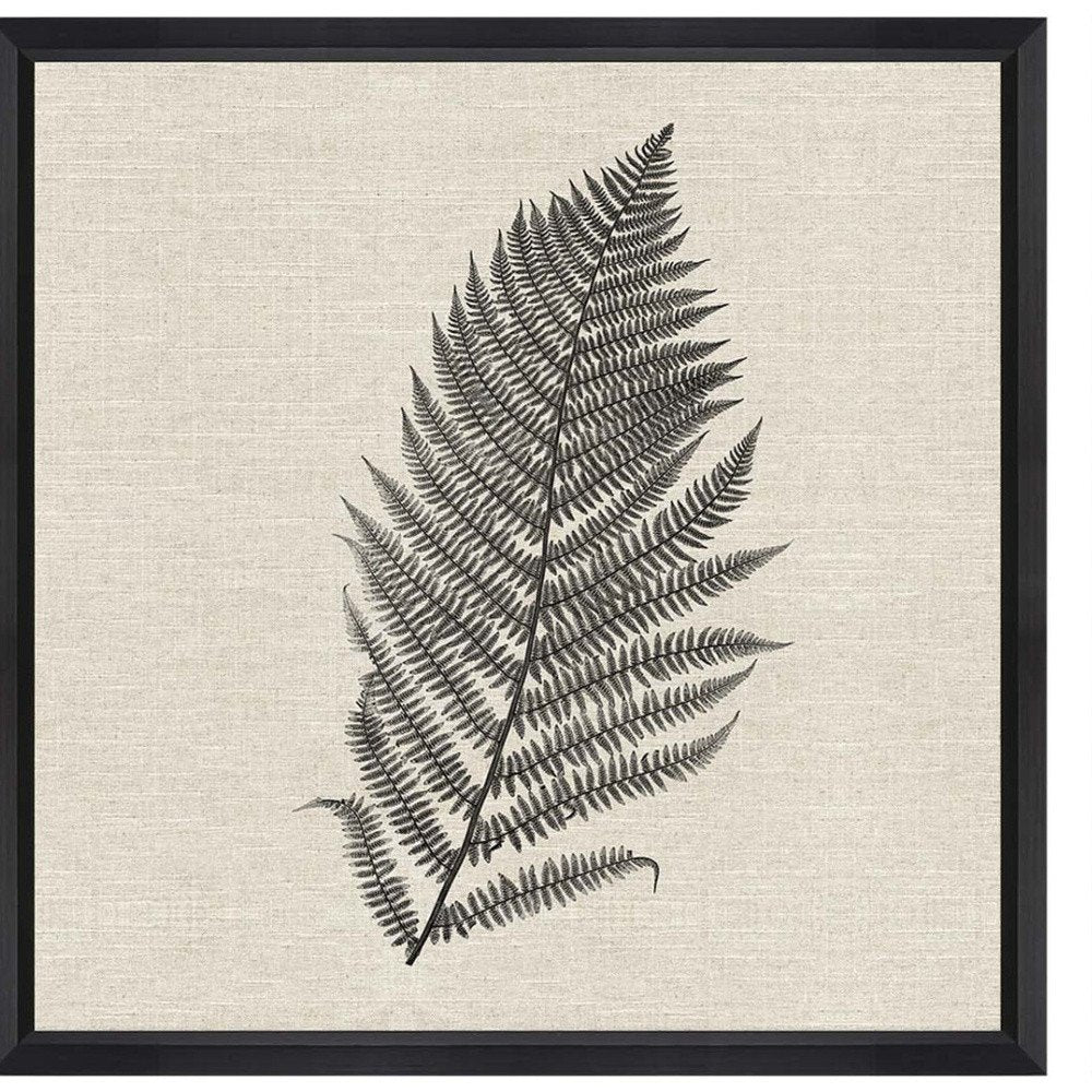 Set Of Two Modern Ferns II Brown Framed Print Wall Art HomeRoots