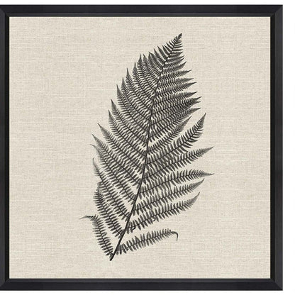 Set Of Two Modern Ferns II Brown Framed Print Wall Art HomeRoots