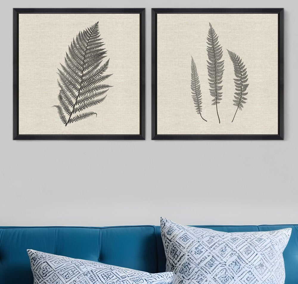 Set Of Two Modern Ferns II Brown Framed Print Wall Art HomeRoots