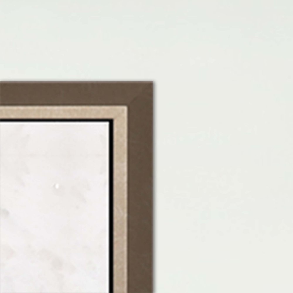 Minutiae Canvas Silver Floater Frame Print Wall Art HomeRoots
