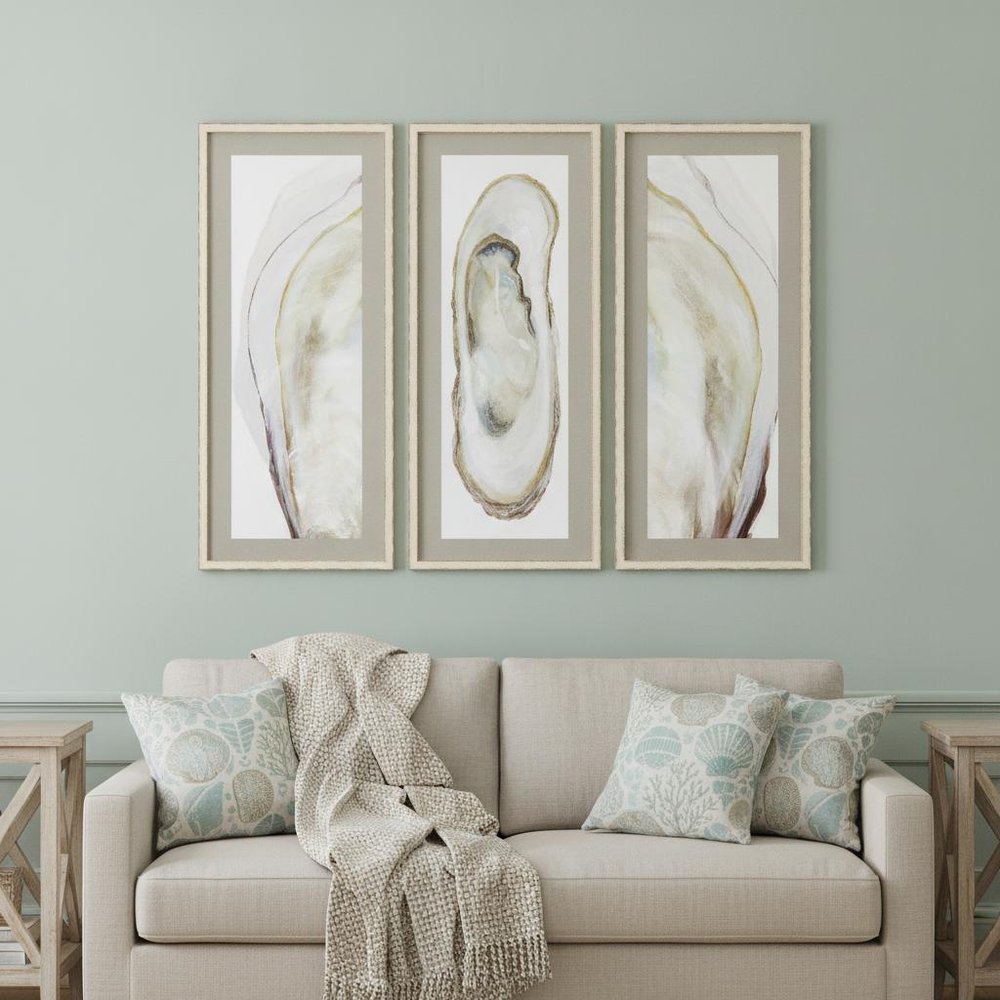 Set Of Three Oyster Shell White Framed Print Wall Art HomeRoots