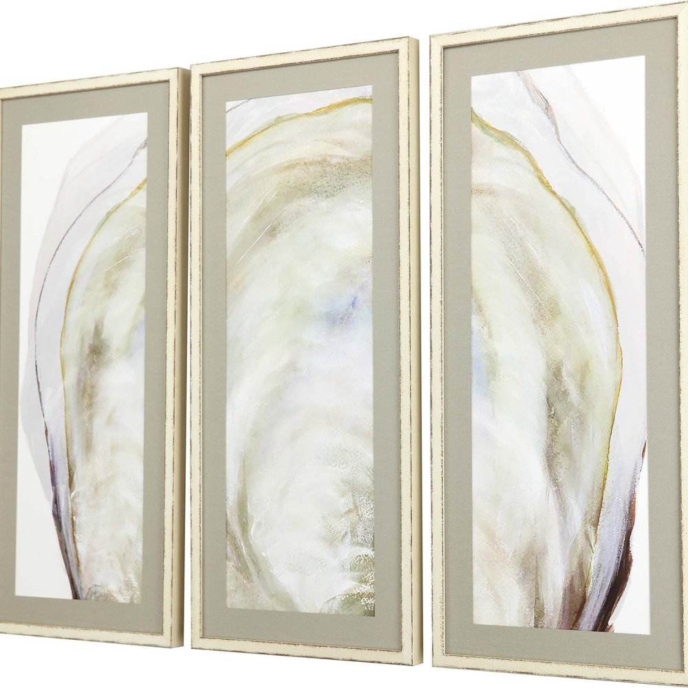 Set Of Three Oyster Shell White Framed Print Wall Art HomeRoots