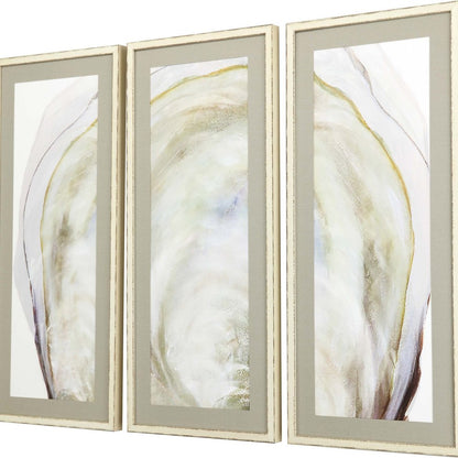 Set Of Three Oyster Shell White Framed Print Wall Art HomeRoots