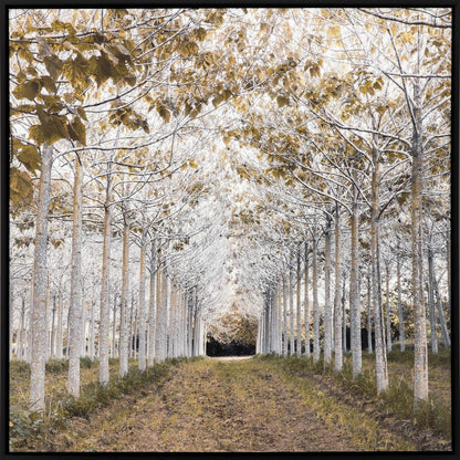 White Gold Canvas Black Floater Frame Print Wall Art HomeRoots