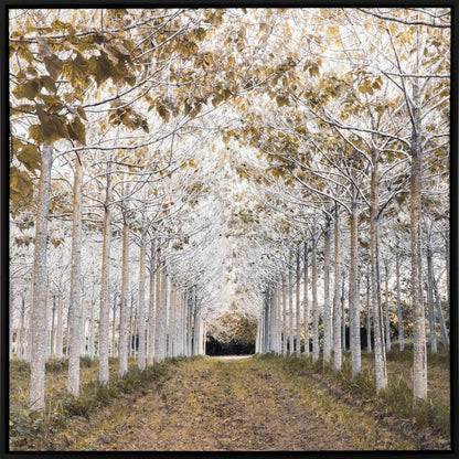 White Gold Canvas Black Floater Frame Print Wall Art HomeRoots