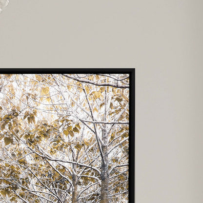 White Gold Canvas Black Floater Frame Print Wall Art HomeRoots
