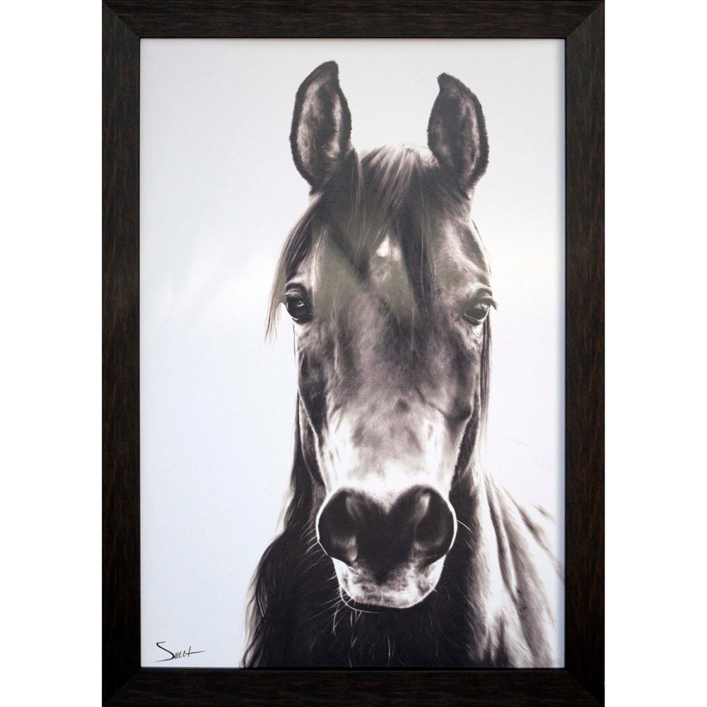 Horse Portrait Brown Framed Print Wall Art HomeRoots
