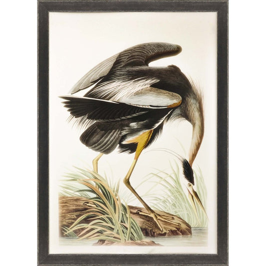 Great Blue Heron Framed Art Brown Picture Frame Print Wall Art HomeRoots