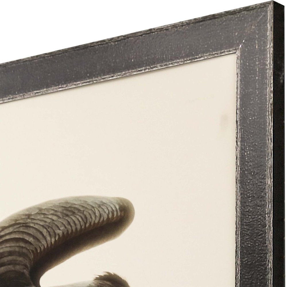 Great Blue Heron Framed Art Brown Picture Frame Print Wall Art HomeRoots