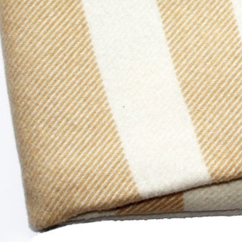 Plush Multi Beige Plaid Throw Blanket with Tassels HomeRoots