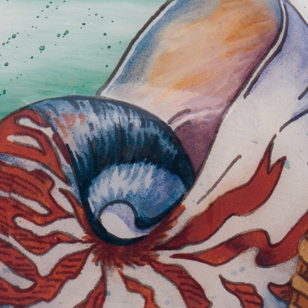 Sea Shell Hand Painted Mouth Blown Glass Ornament HomeRoots