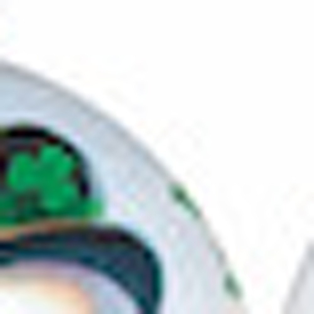 Green Irish Snowman Hand Painted Mouth Blown Glass Ornament HomeRoots