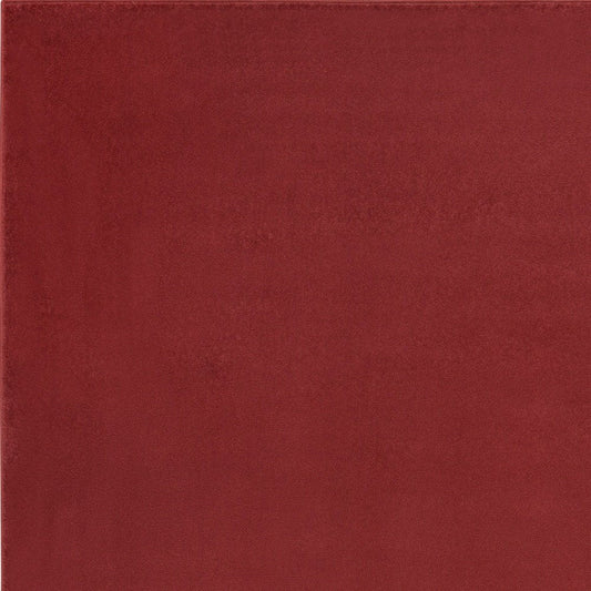 4' X 6' Brick Red Stain Resistant Indoor Outdoor Area Rug