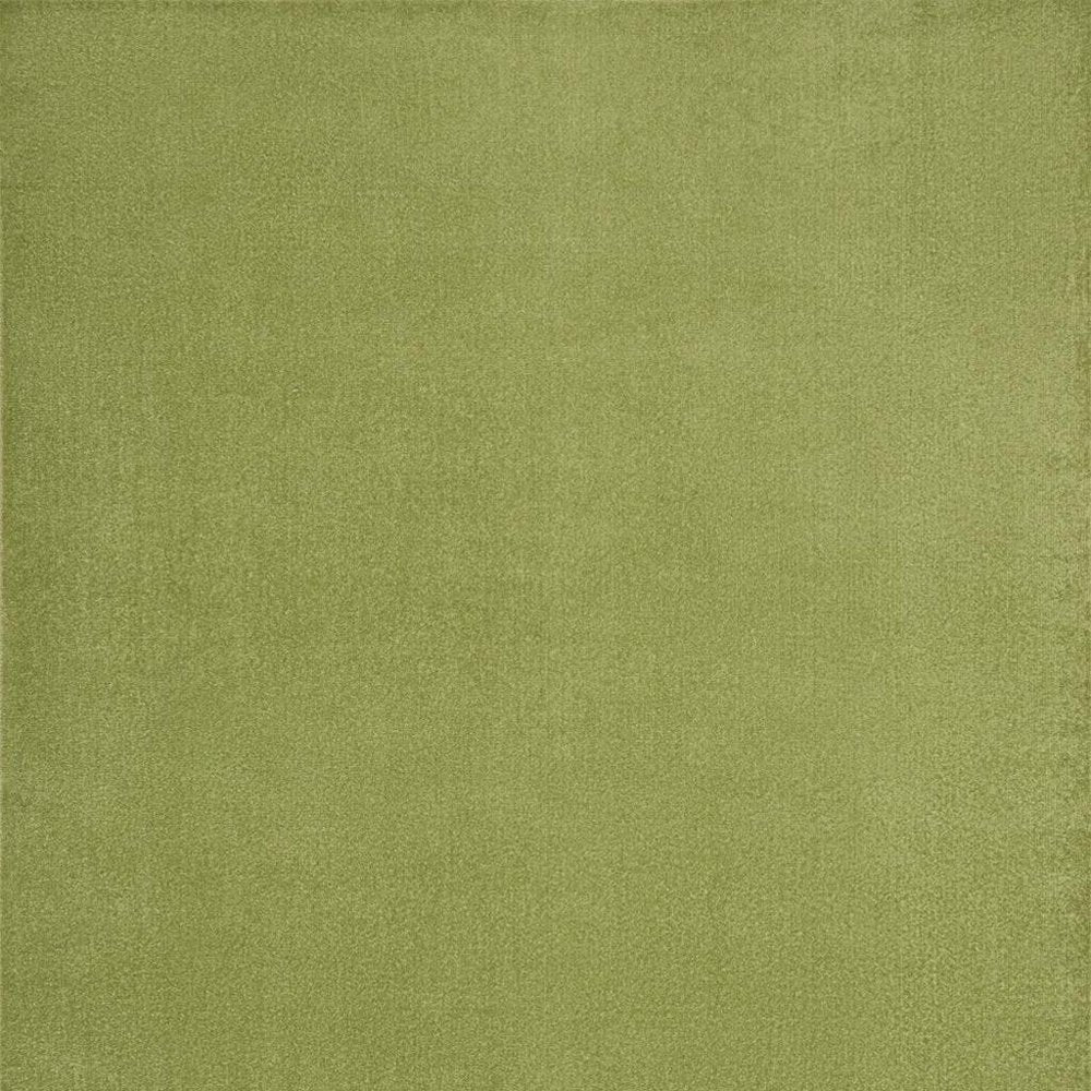 7' X 10' Green Indoor Outdoor Area Rug HomeRoots
